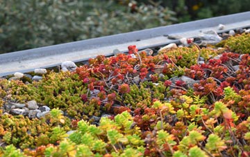 the cost of Sarratt Bottom green roof installation