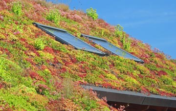 Sarratt Bottom living roof systems